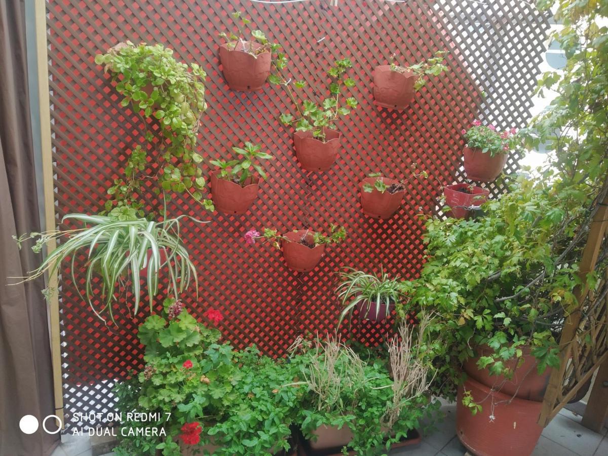 Habitacion Familiar En Un Atico Con Gran Terraza Y,Cocina ,En La Playa Burriana Exterior photo